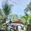 Randy Awid - @randyawid - TikTok