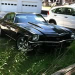Randy Waite - @randywaite71 - Instagram