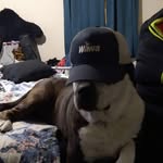 Randy Wakefield - @greenshiners_outlaw_garden - Instagram