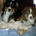 Randy Walsh - Facebook