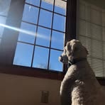 Randall Weckerly - Facebook