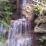 Randy Weeks - @randyweeks67 - Instagram