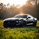 Randy wiebe - @randy_wiebe_ - Instagram