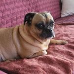 Randy Welborn - @randywelborn5 - Instagram
