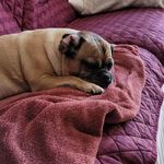 randy welborn - @welborn3632 - Instagram