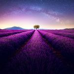 Randy Welch - @rand_ywelch - Instagram