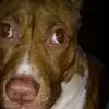 Randyweldon109 - @randyweldon109 - TikTok