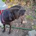 Wenzel Randy - Facebook