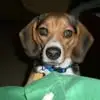 Randy Wester - @randy.wester35 - TikTok