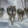 Randy Wester - @randy.wester7 - TikTok