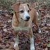 Randy Whorton - Facebook