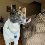 Randy Whitney - @xring44126 - Instagram