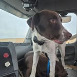Randy m Wiese - @randy.3227 - Instagram