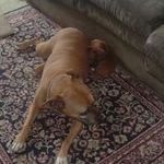 Randy Willey - @randywilley - Instagram
