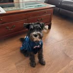 Randy Willingham - @rwwareagle - Instagram