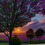 Randy Willingham - Facebook