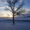 Randy Witt - @ranrandy.witt - TikTok