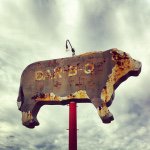 Randy Witt - @randy_witt - Instagram
