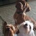Randy Yarbrough - Facebook