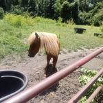 Randy Yeager - @randyyeager00 - Instagram