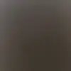 cvy - @zackrandy235 - TikTok