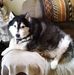 Randy Zehner - Facebook