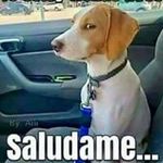 Randy Zepeda - @randy.zepeda.961 - Instagram
