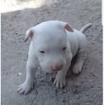Randy Zepeda - Facebook