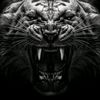 RaNeOm - @gytte0 - TikTok