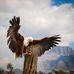 Raneel Singh - Facebook