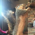 Ranger Rick - @rangerrick7 - Instagram