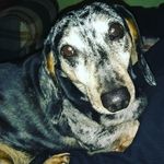 Ranger rick - @ranger_rick - Instagram