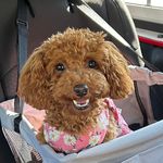Rani Wilson Hovatter - @ranitheprincess - Instagram