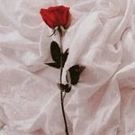 Rani Yahya - @rahm_ataditya95 - Instagram