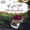 Rania Ashraf - @rania.ashraf68 - TikTok