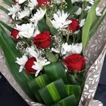 Rania Bader - @bader9314 - Instagram