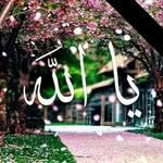 Rania Bader - @rania.bader.940 - Instagram
