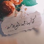 Rania Barakat - @barakat7985 - Instagram