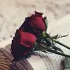Rania Hammad - @raniahammad87 - TikTok