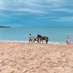 @raniahammoudehh - Instagram