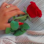 @rania___harb - Instagram
