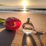 Rania Hashish - @rania.hashish - Instagram