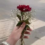 Rania Hatem - Facebook