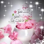 Rania Mansour - @raniamansour2663 - Instagram
