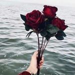 rania masri - @rania_masri90 - Instagram