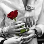 Rania Masri - Facebook
