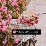 Rania Masri - Facebook