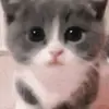Raeniece Harrison - @ryanplays09735 - TikTok
