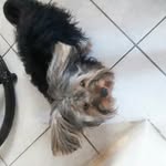 Ranieri Pereira Carvalho Filho - @raneycarvalho4 - Instagram
