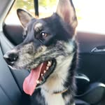 Ranieri Lima Damasceno - @sohascachorras - Instagram